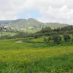 In Tuscany With Scenic Pool Views