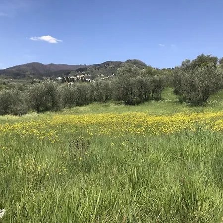 In Tuscany With Scenic Pool Views San Gennaro (Lucca)